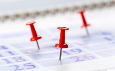 Tax Diary July/August 2025