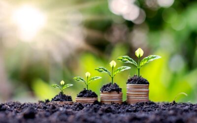 Tax rules for savings interest