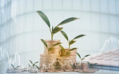 VAT – advantages of the VAT Flat Rate Scheme