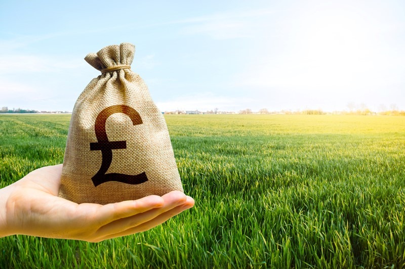 Do you have additional income streams?